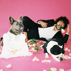 青青草十年沉淀回归下载
